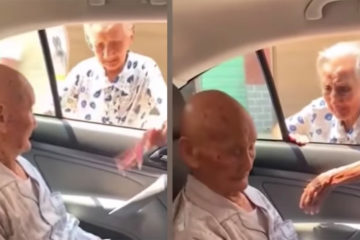 「101歲」哥不辭辛勞探望　96歲妹抹淚塞給他800：買點好吃的